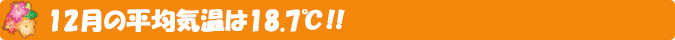 12月の平均気温は18.7℃!!