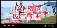 JAL機内広告動画